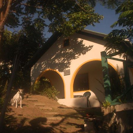 Lime Tree Farm, Blue Mountains Villa Mavis Bank Bagian luar foto