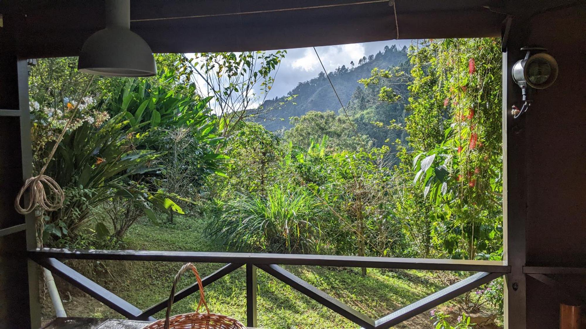 Lime Tree Farm, Blue Mountains Villa Mavis Bank Bagian luar foto