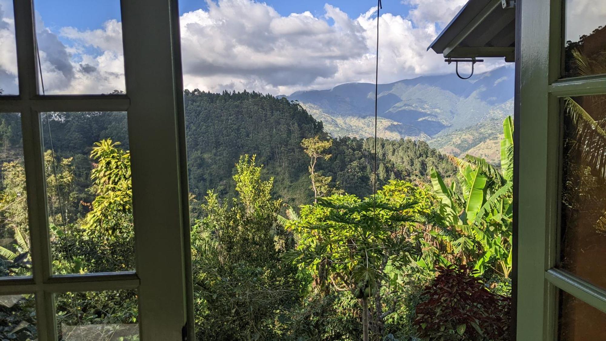 Lime Tree Farm, Blue Mountains Villa Mavis Bank Bagian luar foto
