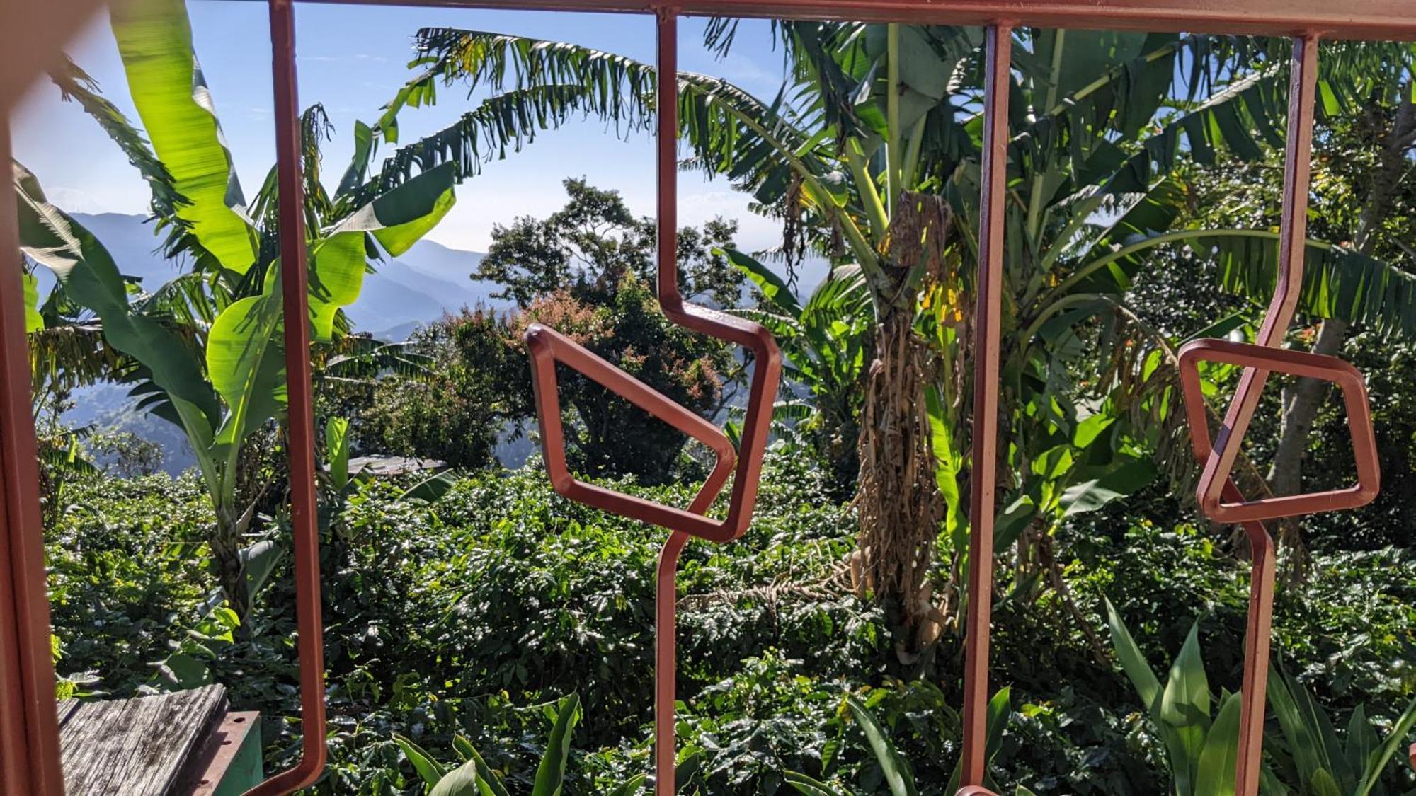 Lime Tree Farm, Blue Mountains Villa Mavis Bank Bagian luar foto