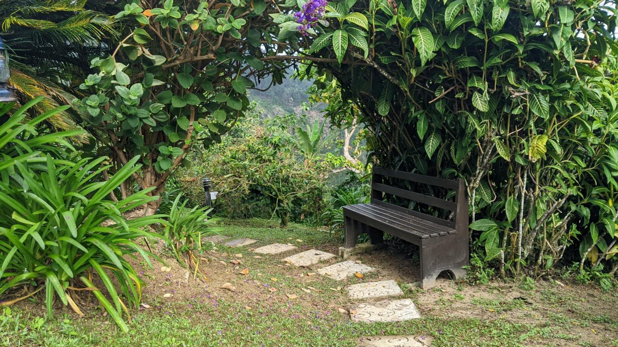 Lime Tree Farm, Blue Mountains Villa Mavis Bank Bagian luar foto